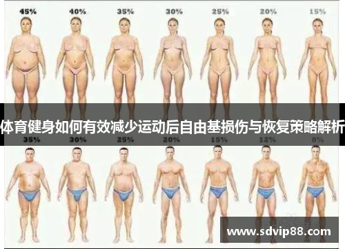 体育健身如何有效减少运动后自由基损伤与恢复策略解析