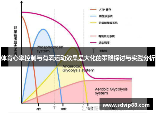体育心率控制与有氧运动效果最大化的策略探讨与实践分析